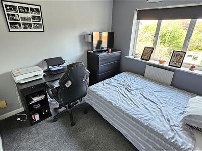 Picture 36